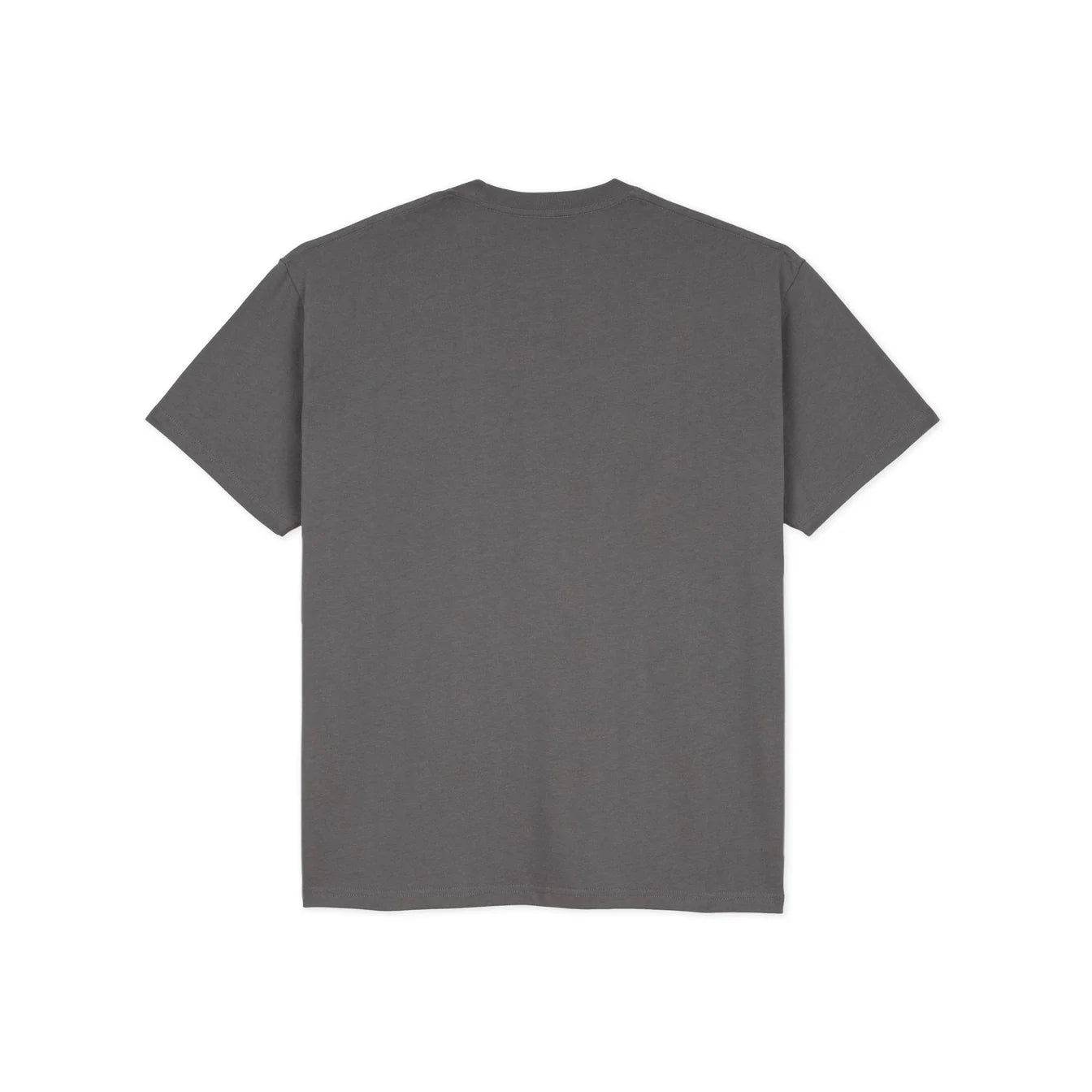 Polar Skate Co Everything Is Normal T-shirt Graphite