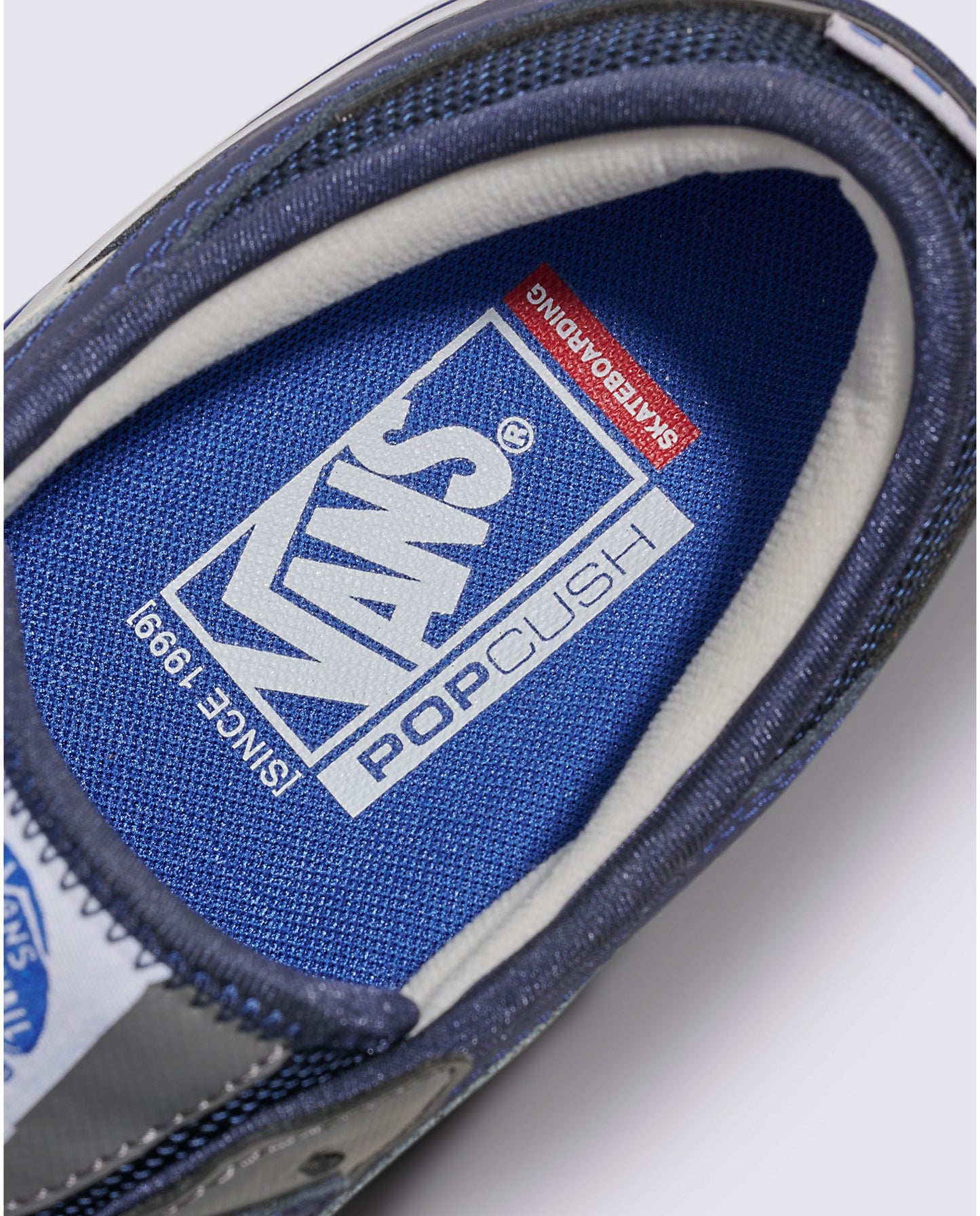 Vans Skate Rowley Shoe - Navy Blue